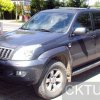 Relingi » TOYOTA